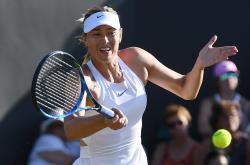 莎拉波娃迎来十赛季高光表现，掘金球迷沸腾！的简单介绍