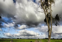 Faker焦点对战，蒂姆与80激战切尔西分钟，领先优势明显胜负难料！